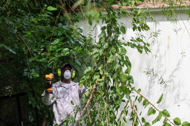 Best Weed Control  in North Fair Oaks, CA